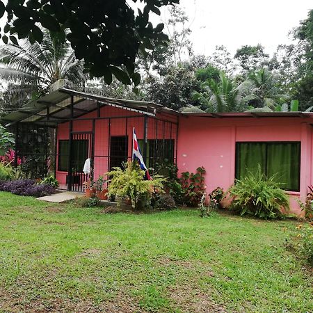 Paraiso Verde Siqurres Da Alegria ภายนอก รูปภาพ