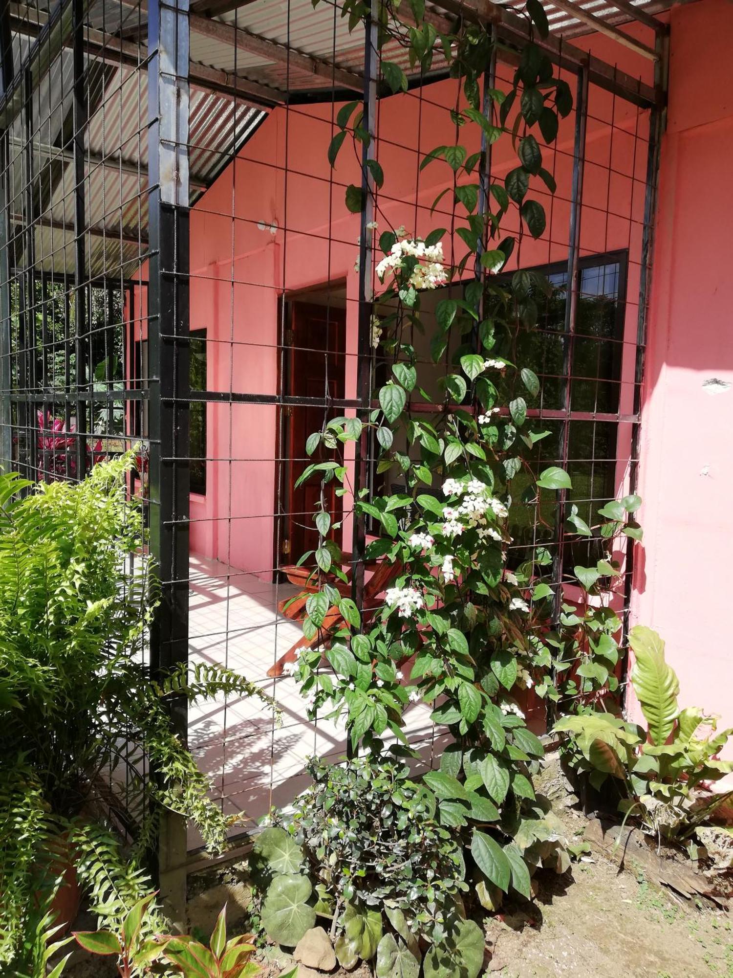 Paraiso Verde Siqurres Da Alegria ภายนอก รูปภาพ
