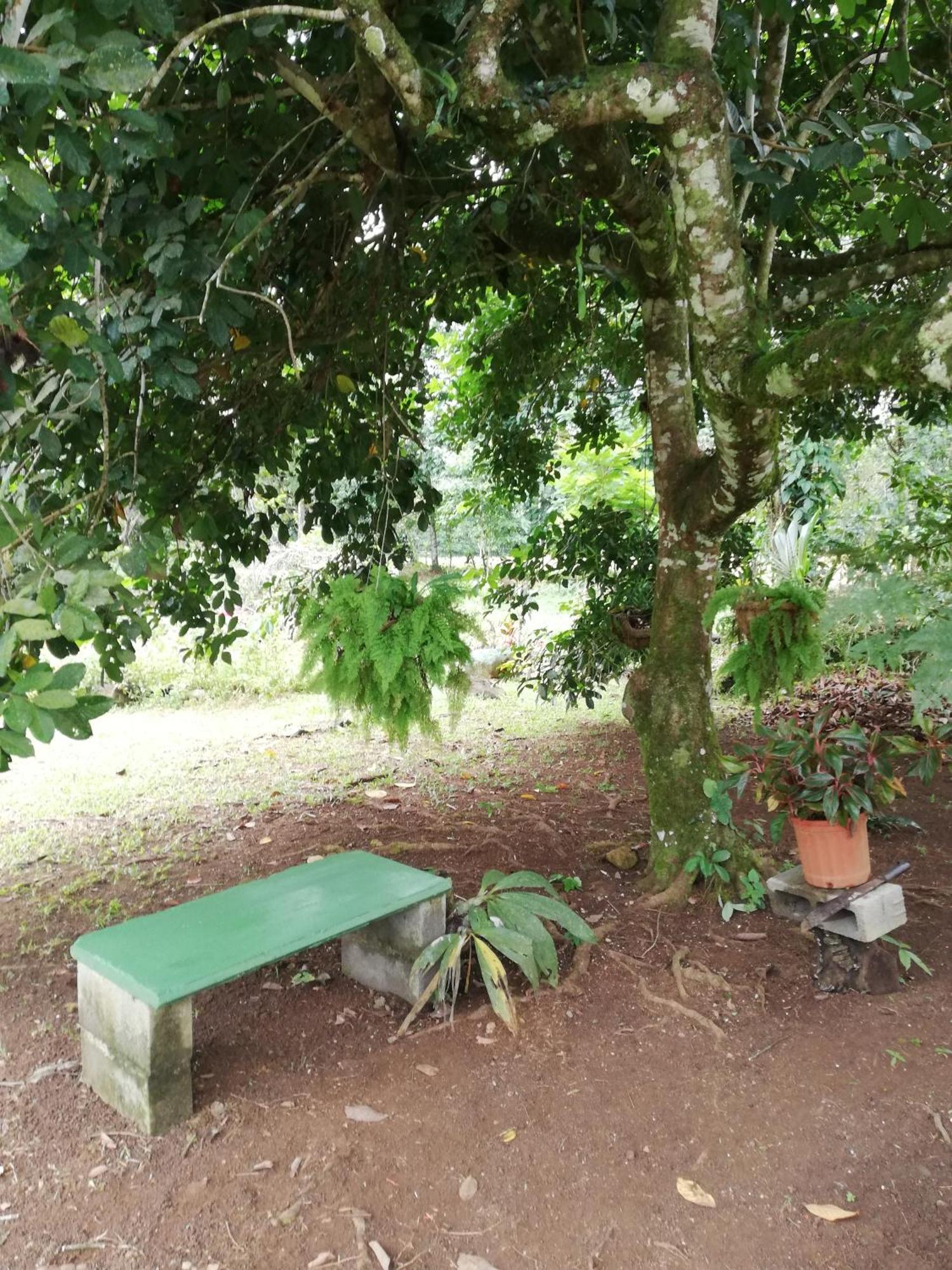 Paraiso Verde Siqurres Da Alegria ภายนอก รูปภาพ