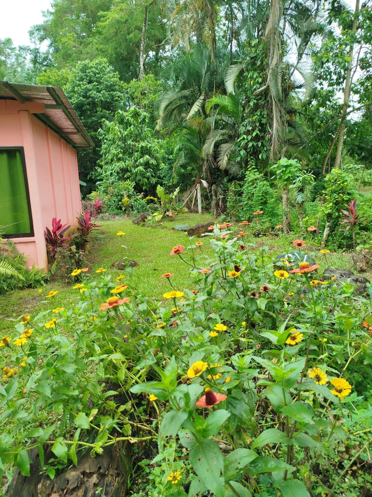 Paraiso Verde Siqurres Da Alegria ห้อง รูปภาพ